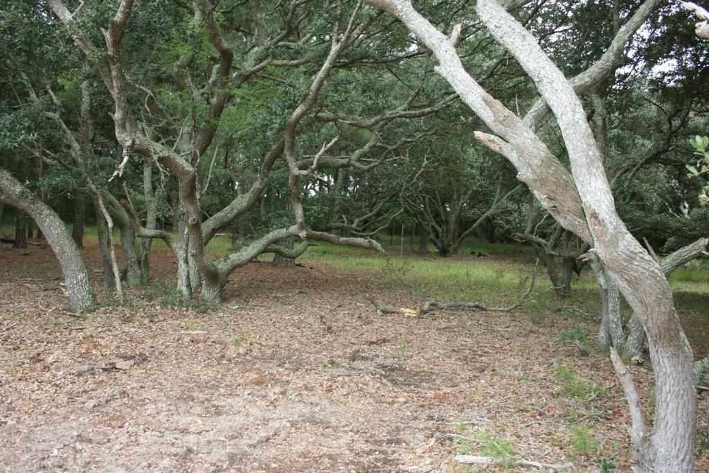 Corolla, North Carolina 27927, ,Residential,For sale,Midnight Pass,92018