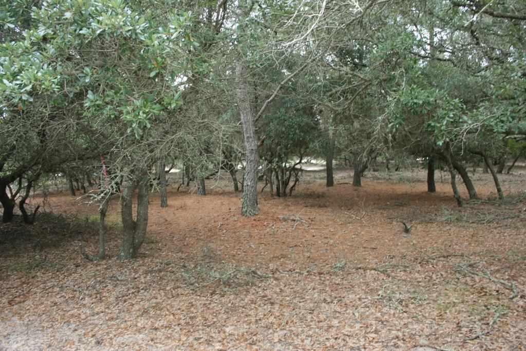 Corolla, North Carolina 27927, ,Residential,For sale,Midnight Pass,92018