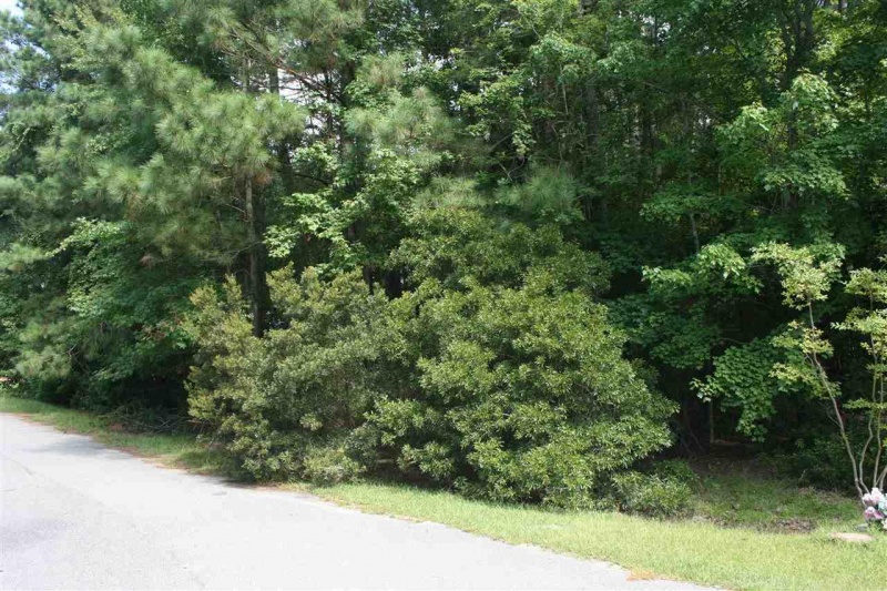 Harbinger, North Carolina 27941, ,Residential,For sale,Teague Court,98100