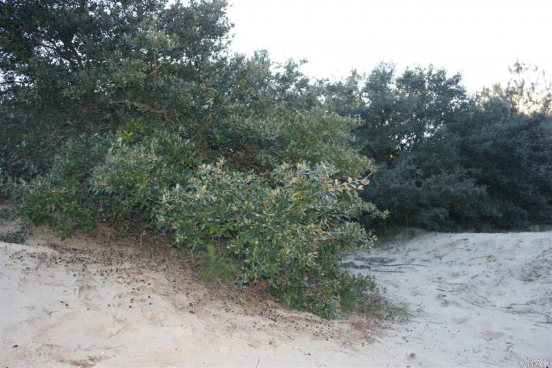 Corolla, North Carolina 27927, ,Residential,For sale,Sailfish Road,103106