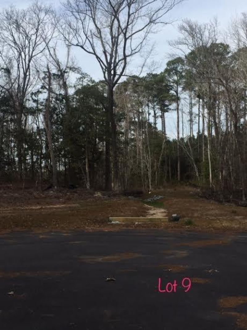 Manteo, North Carolina 27954, ,Residential,For sale,Etheridge Acres Lane,95121