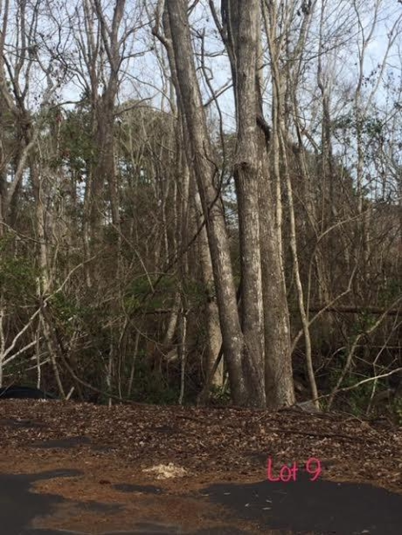Manteo, North Carolina 27954, ,Residential,For sale,Etheridge Acres Lane,95121