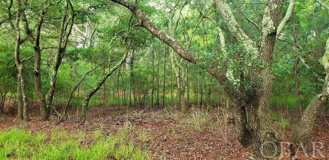 Corolla, North Carolina 27927, ,Residential,For sale,False Cape Road,109481