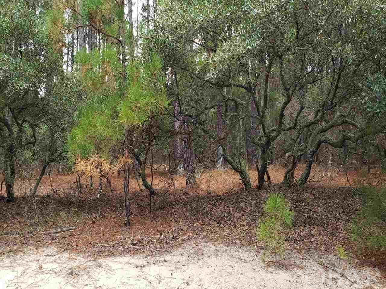 Corolla, North Carolina 27927, ,Residential,For sale,Swan Island Road,111966