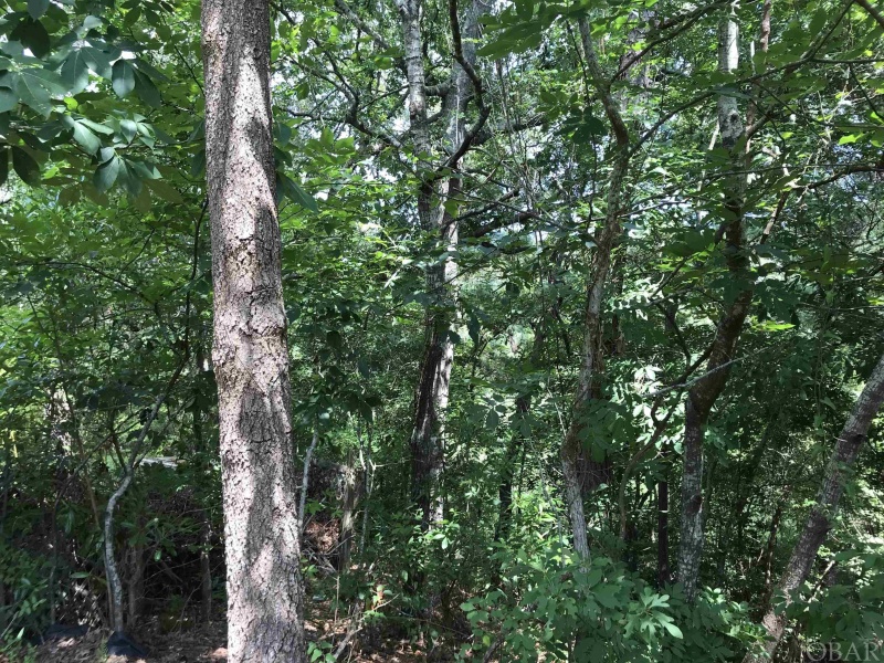 Kill Devil Hills, North Carolina 27948, ,Residential,For sale,Sea Gull Court,119809