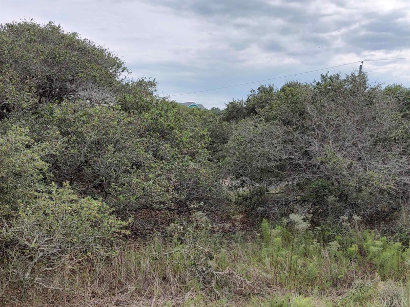 Corolla, North Carolina 27927, ,Residential,For sale,Albatross Lane,120166