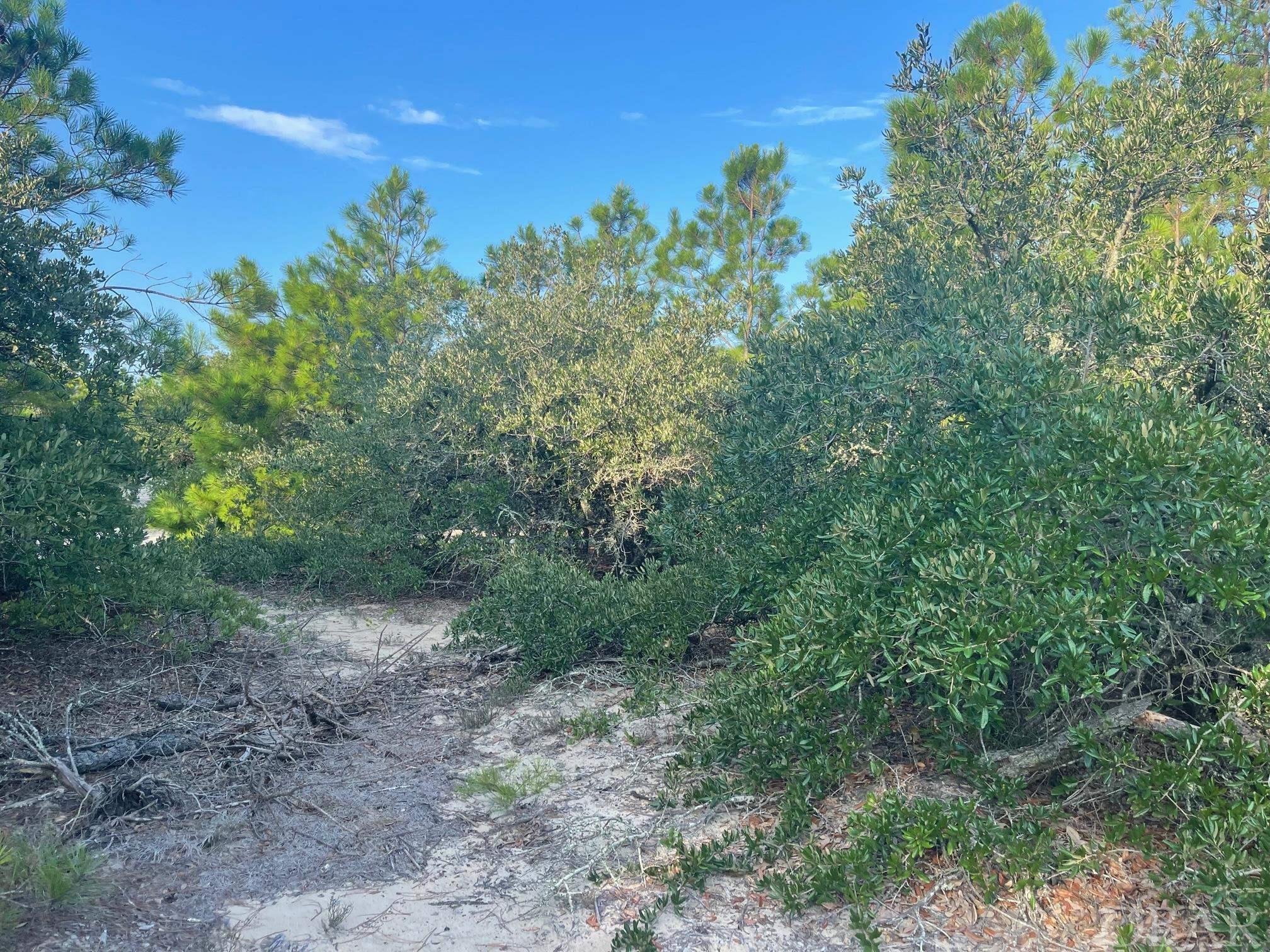 Corolla, North Carolina 27927, ,Residential,For sale,Bluefish Crescent,119866