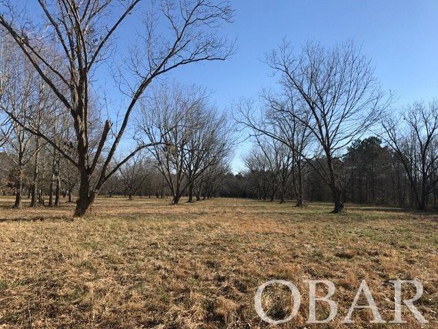 Roper, North Carolina 27927, ,Acreage,For sale,Mallard Drive,114325
