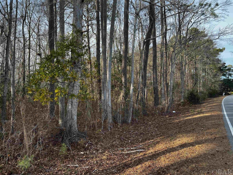 Poplar Branch, North Carolina 27965, ,Residential,For sale,Aydlett Road,121195